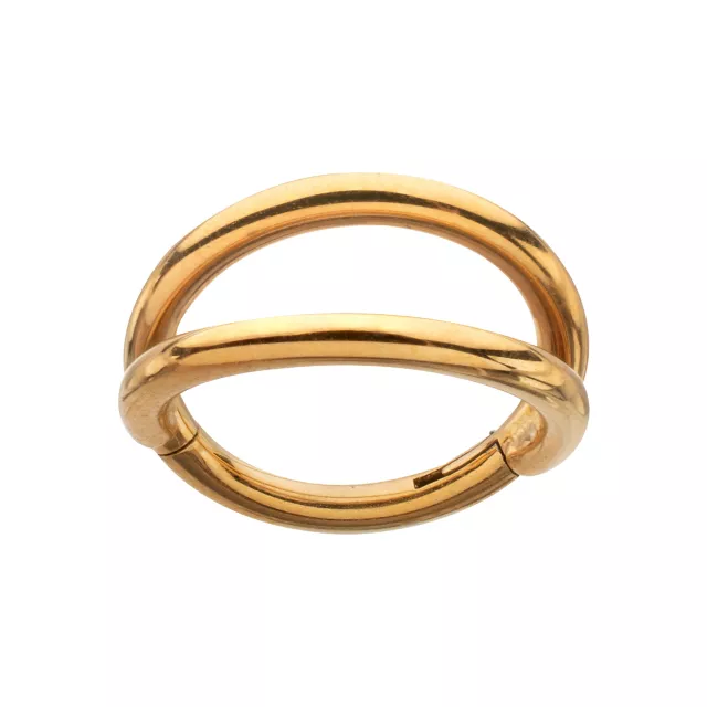Titanium Gold-Tone Double Row Hinged Hoop Nose Ring - 16 Gauge at Spencer's