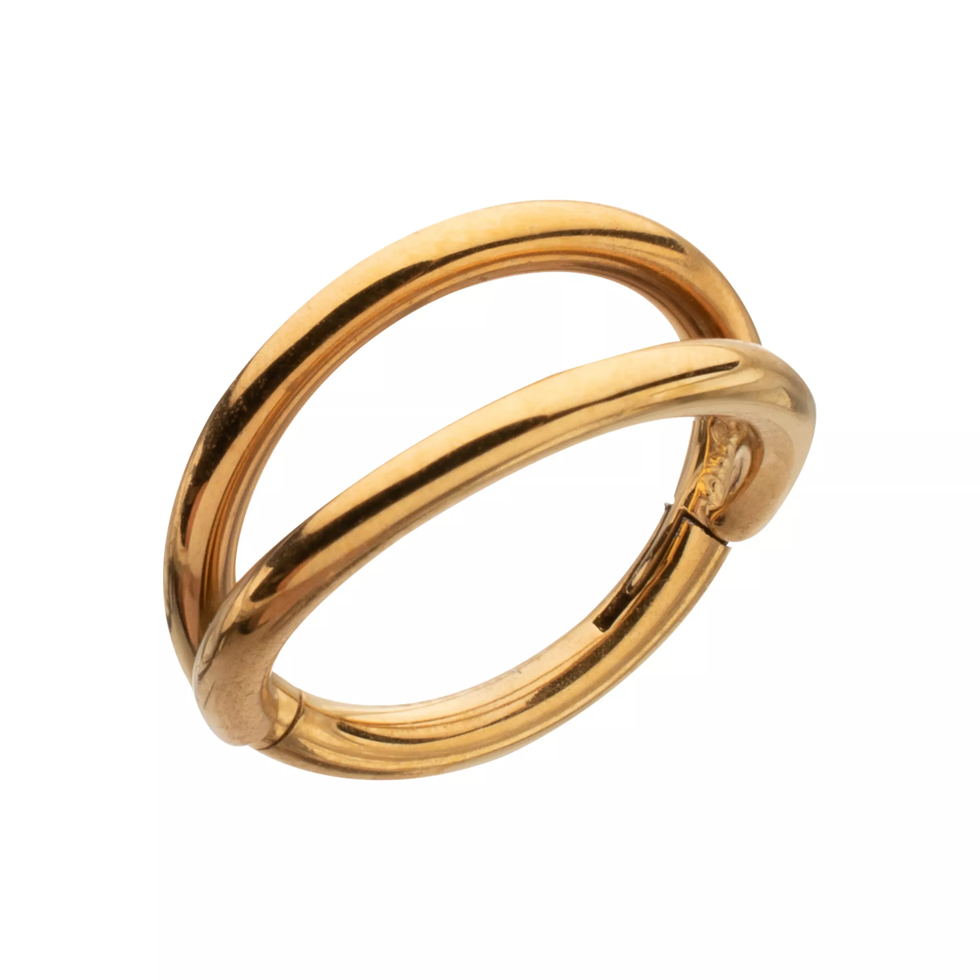 Titanium Gold-Tone Double Row Hinged Hoop Nose Ring - 16 Gauge at Spencer's