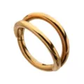 Titanium Gold-Tone Double Row Hinged Hoop Nose Ring - 16 Gauge at Spencer's