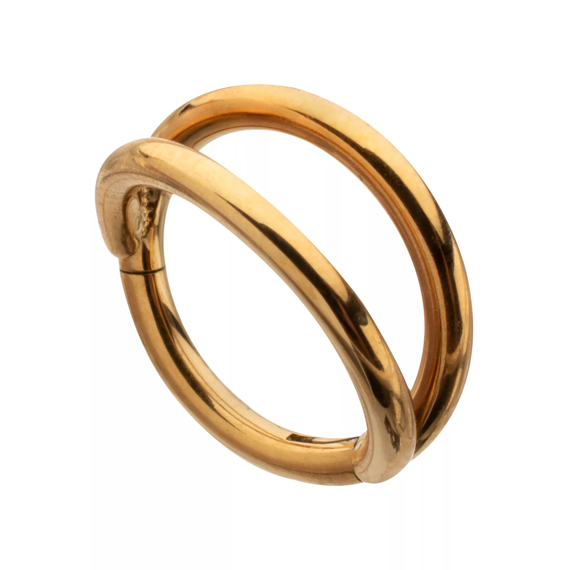 Titanium Gold-Tone Double Row Hinged Hoop Nose Ring - 16 Gauge at Spencer's