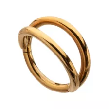 Titanium Gold-Tone Double Row Hinged Hoop Nose Ring - 16 Gauge at Spencer's