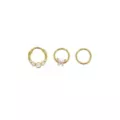 Multi-Pack CZ Butterfly Gold-Tone Hinged Hoop Septum Rings 3 Pack - 16 Gauge at Spencer's