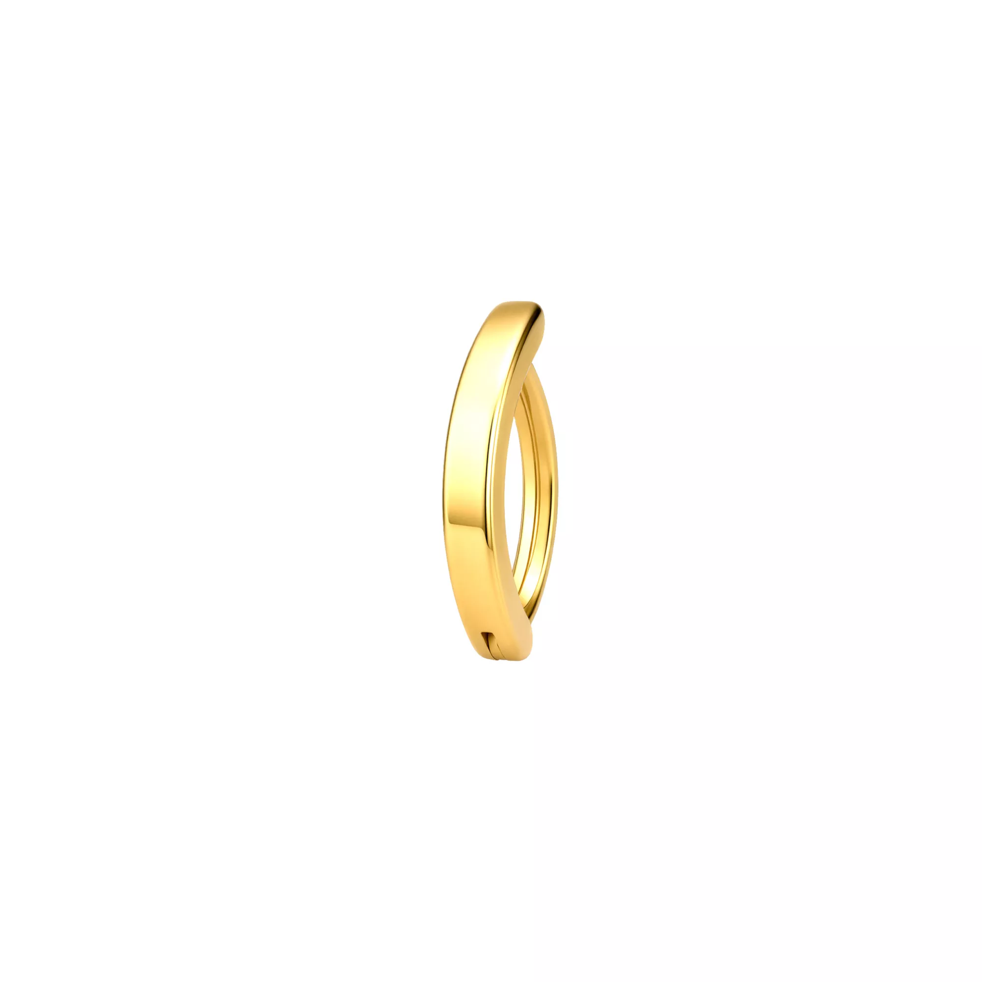 Gold-Tone Titanium Basic Hinged Belly Ring - 16 Gauge at Spencer's