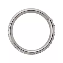 ASTM F-136 Titanium CZ Double Hoop Hinged Septum Ring - 16 Gauge at Spencer's