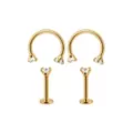 Multi-Pack Clear CZ Flatback and Horseshoe Gold-Tone Titanium Cartilage Rings 2 Pair - 18 Gauge at Spencer's