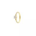 ASTM F-136 Titanium Round CZ Prong Gold-Tone Hinged Hoop Ring - 16 Gauge at Spencer's