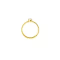 ASTM F-136 Titanium Round CZ Prong Gold-Tone Hinged Hoop Ring - 16 Gauge at Spencer's