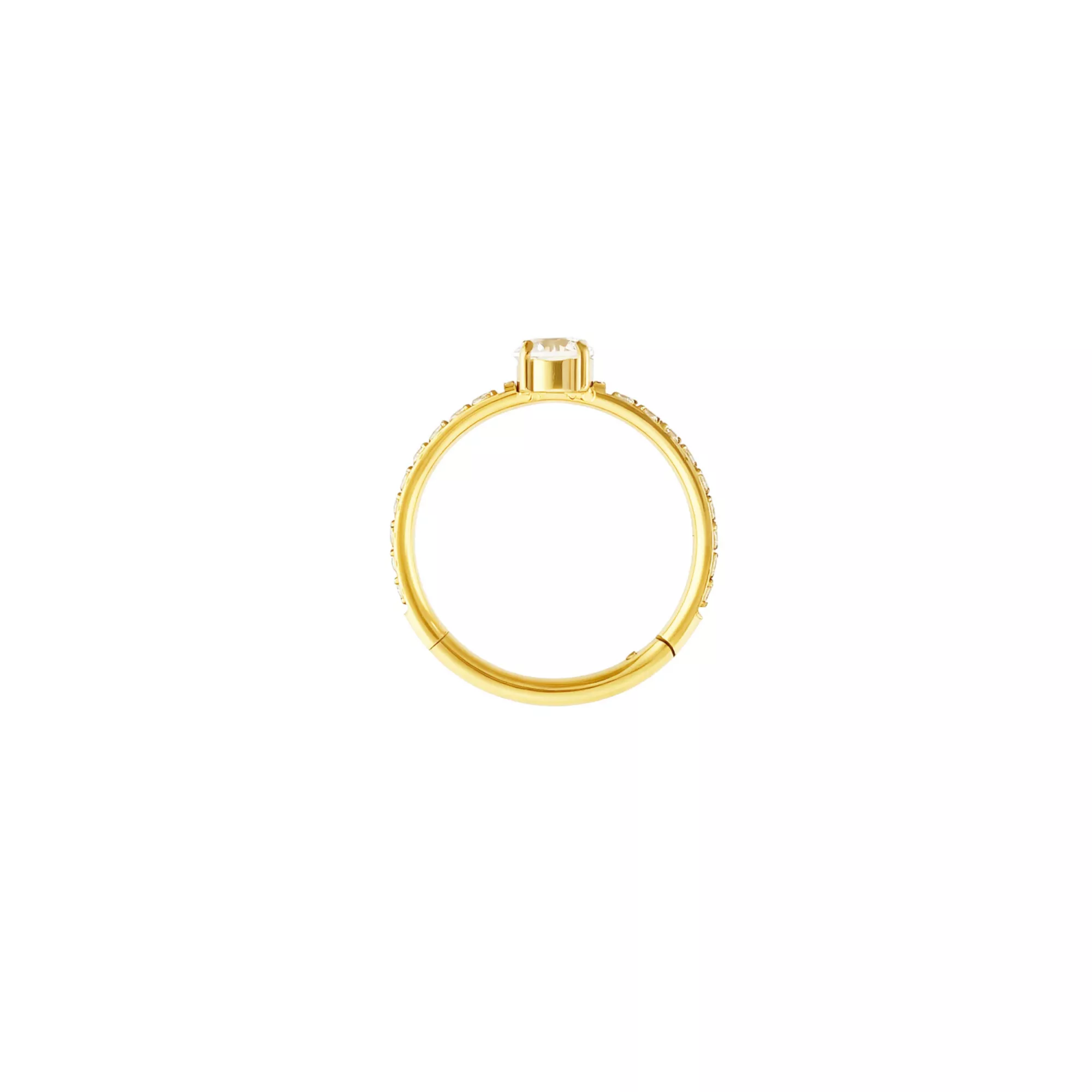 ASTM F-136 Titanium Round CZ Prong Gold-Tone Hinged Hoop Ring - 16 Gauge at Spencer's