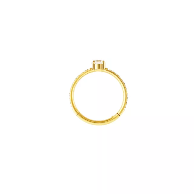 ASTM F-136 Titanium Round CZ Prong Gold-Tone Hinged Hoop Ring - 16 Gauge at Spencer's