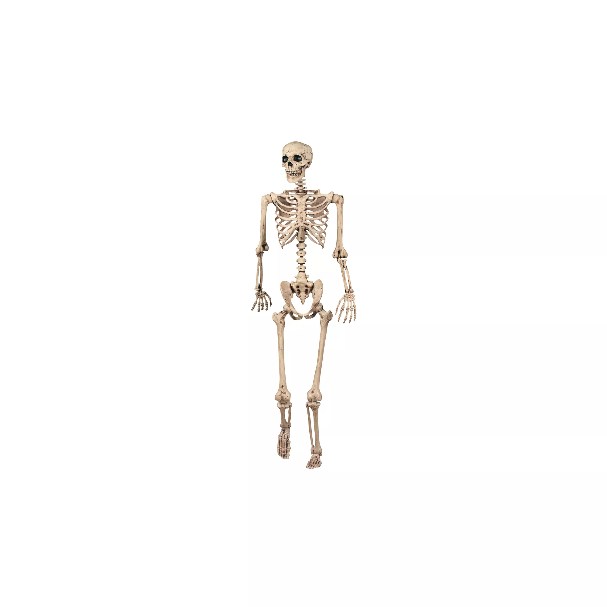 5 Ft Pose 'N' Stay Skeleton at Spirit Halloween