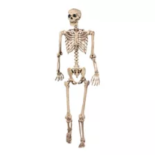 5 Ft Pose 'N' Stay Skeleton at Spirit Halloween