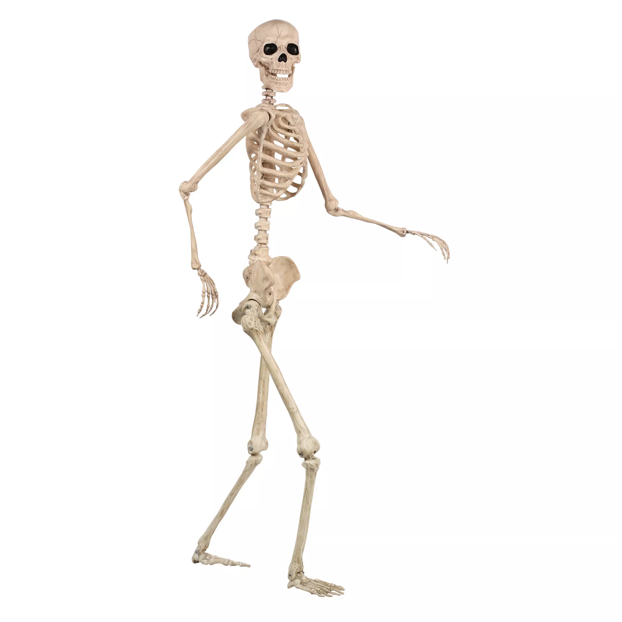 5 Ft Pose 'N' Stay Skeleton at Spirit Halloween