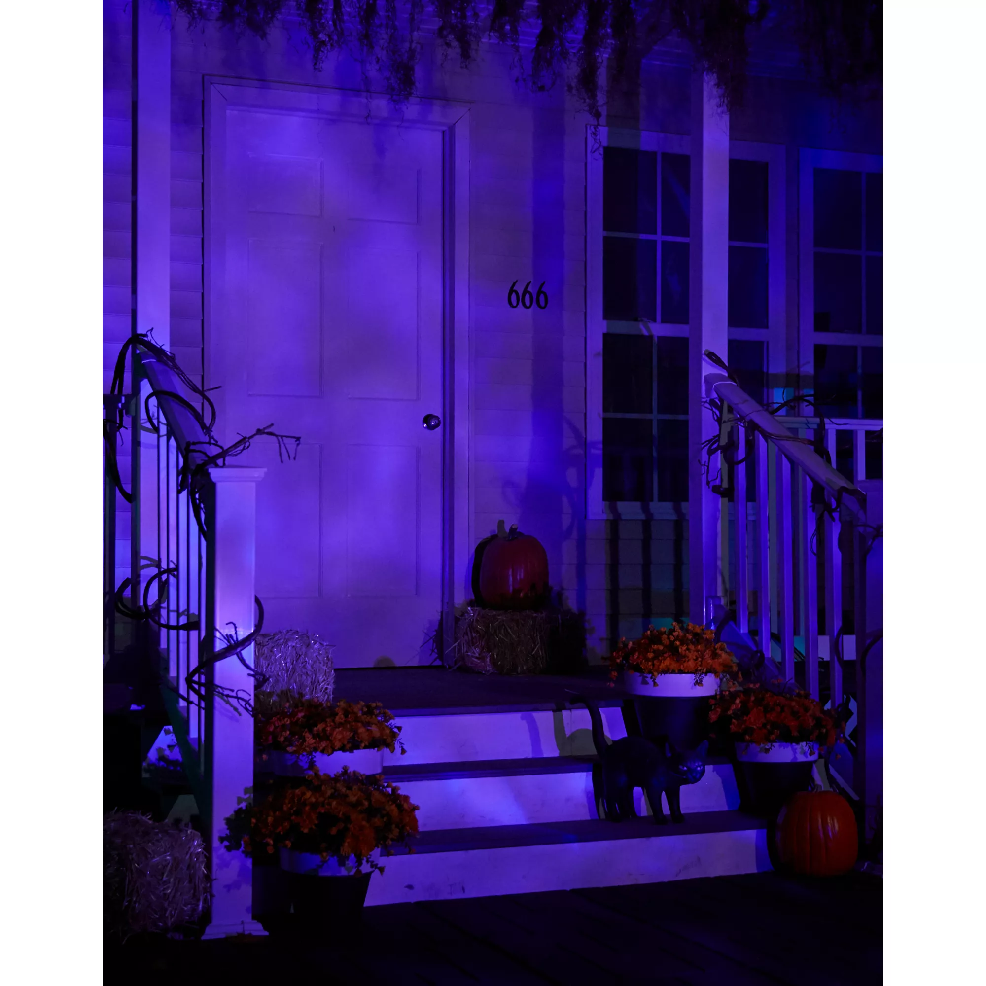 Purple Fire and Ice Spotlight