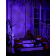 Purple Fire and Ice Spotlight at Spencer's
