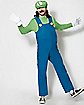Adult Luigi Costume - Mario Bros