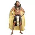 King of Egypt Mens Costume at Spirit Halloween