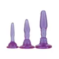 Wendy Williams Anal Trainer Butt Plug Set at Spencer's
