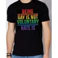 Being Gay Is Not Voluntary Hate Is Pride T Shirt at Spencer's