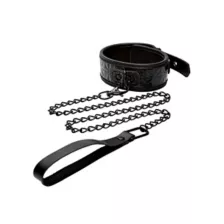 Black Collar and Leash at Spencer's