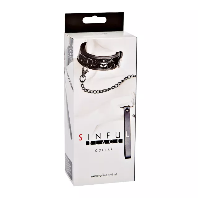 Black Collar and Leash at Spencer's