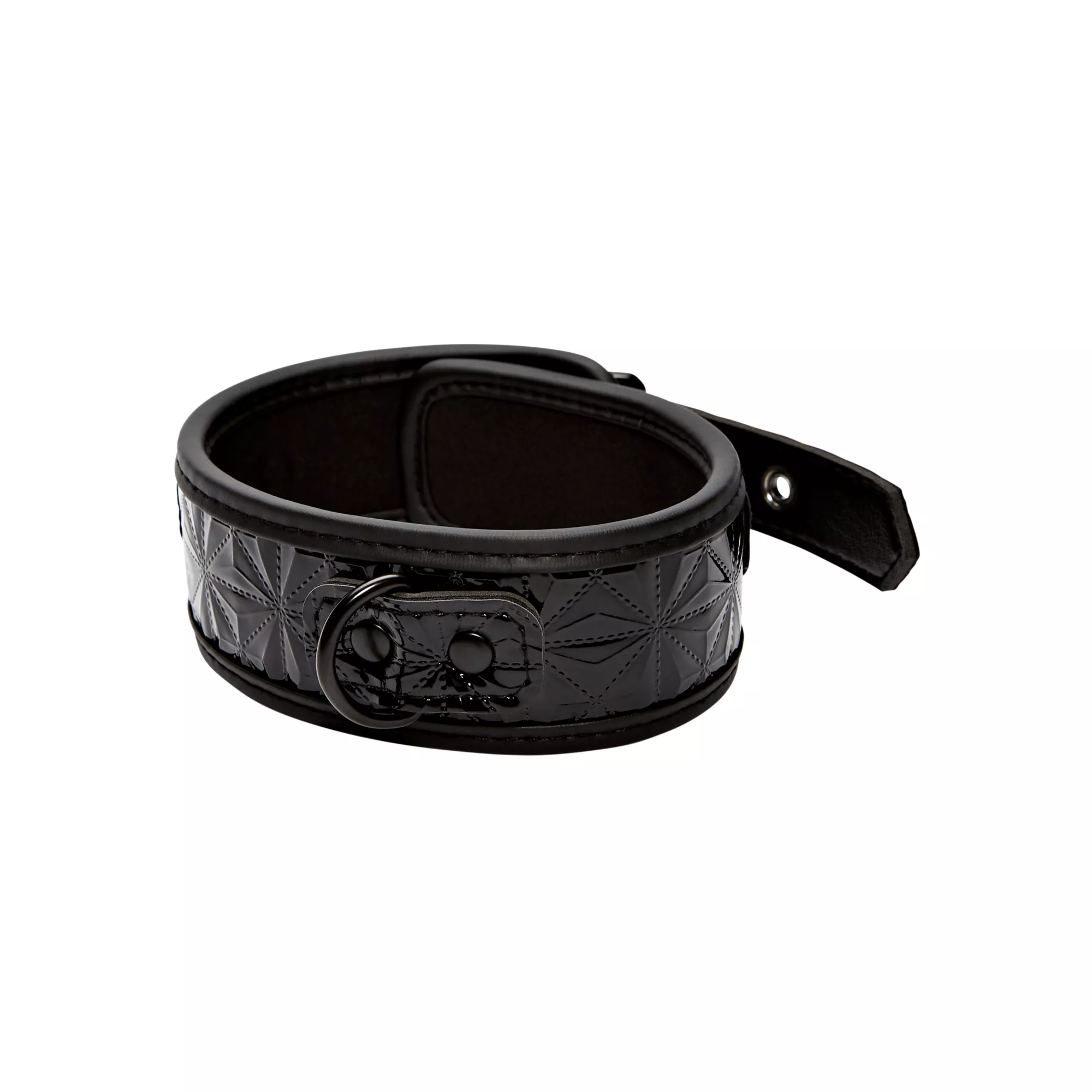 Black Collar and Leash at Spencer's