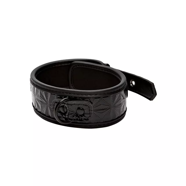 Black Collar and Leash at Spencer's