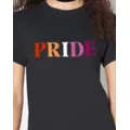 Lesbian Pride T Shirt at Spencer's