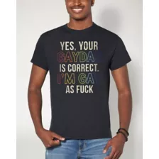 Rainbow Pride Gaydar is Correct T Shirt at Spencer's