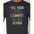 Rainbow Pride Gaydar is Correct T Shirt at Spencer's