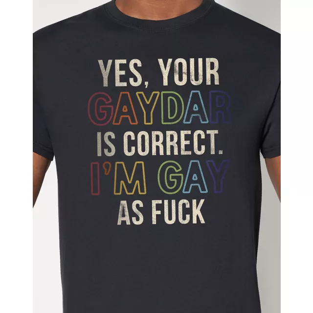 Rainbow Pride Gaydar is Correct T Shirt at Spencer's