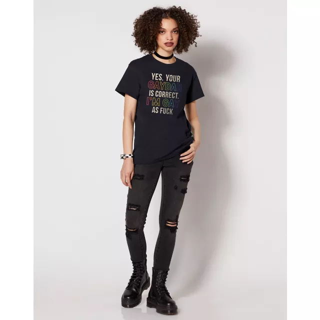 Rainbow Pride Gaydar is Correct T Shirt at Spencer's