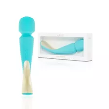 LELO Smart Wand 2 Aqua at Spencer's