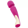 LELO Smart Wand 2 Deep Rose at Spencer's