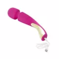 LELO Smart Wand 2 Deep Rose at Spencer's