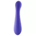 plusOne G-Spot Massager at Spencer's