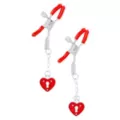 Passion Heart Sex Toy Kit at Spencer's