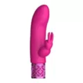 Dazzling 10-Speed Rechargeable Waterproof Rabbit Vibrator - 4.75 Inch at Spencer's