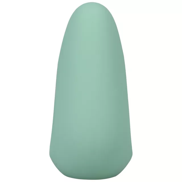 Chi Rechargeable 10-Function Clitoral Vibrator - 2.8 Inch at Spencer's
