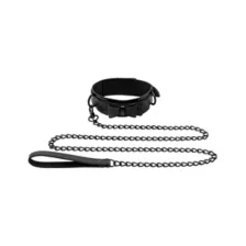Bow Tie Collar and Leash at Spencer's