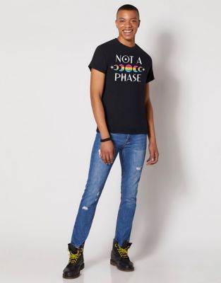 Pansexual Not a Phase T Shirt