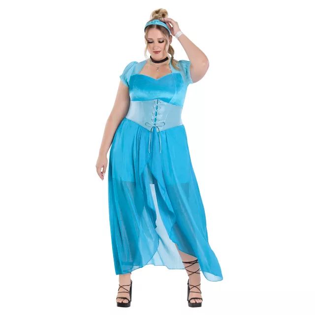 Adult Cinderella Plus Size Costume - Disney Princess at Spirit Halloween
