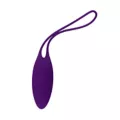 Playboy Pleasure Put In Work Kegel Balls Set - 4 Pack at Spencer's