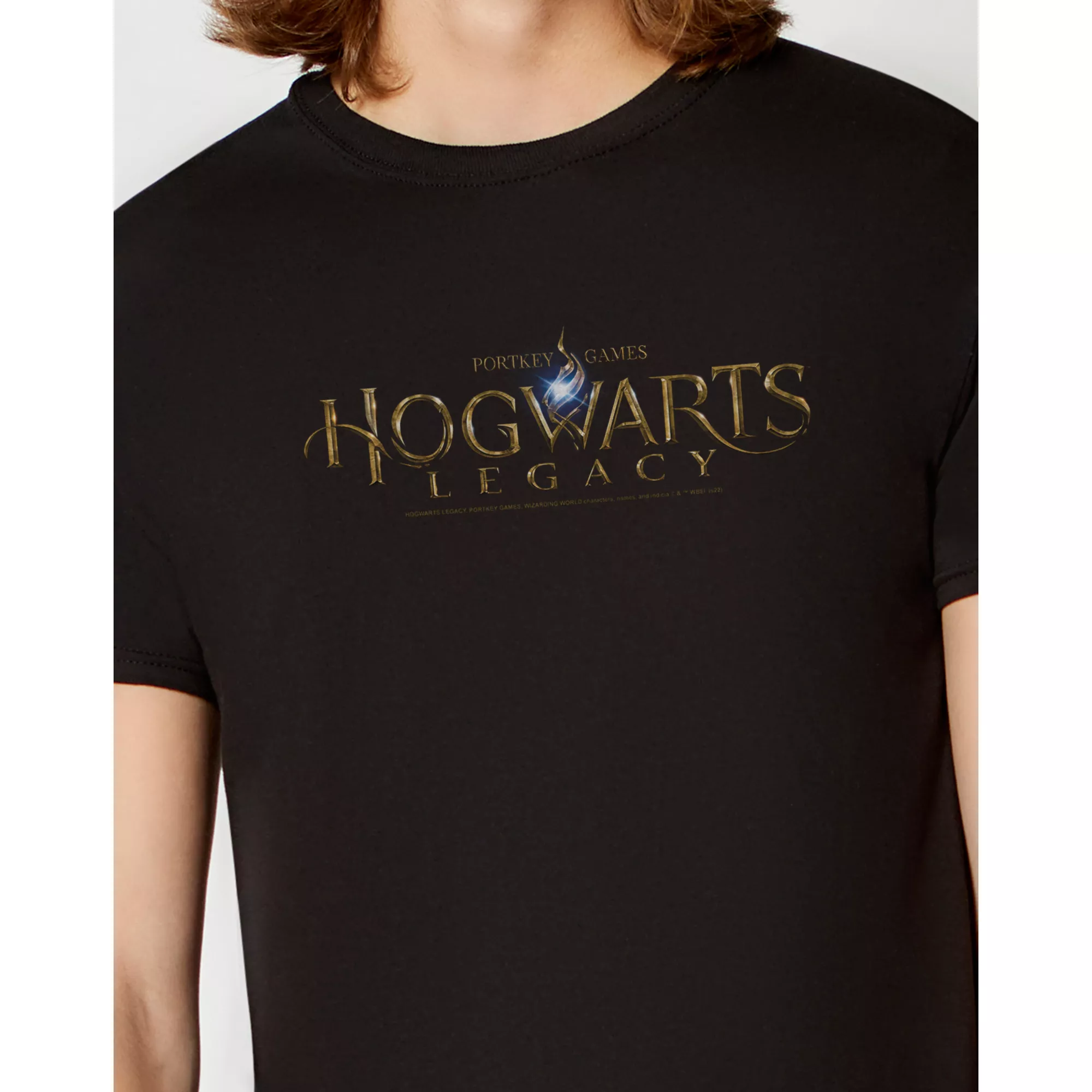 Hogwarts Legacy Logo T Shirt at Spencer's