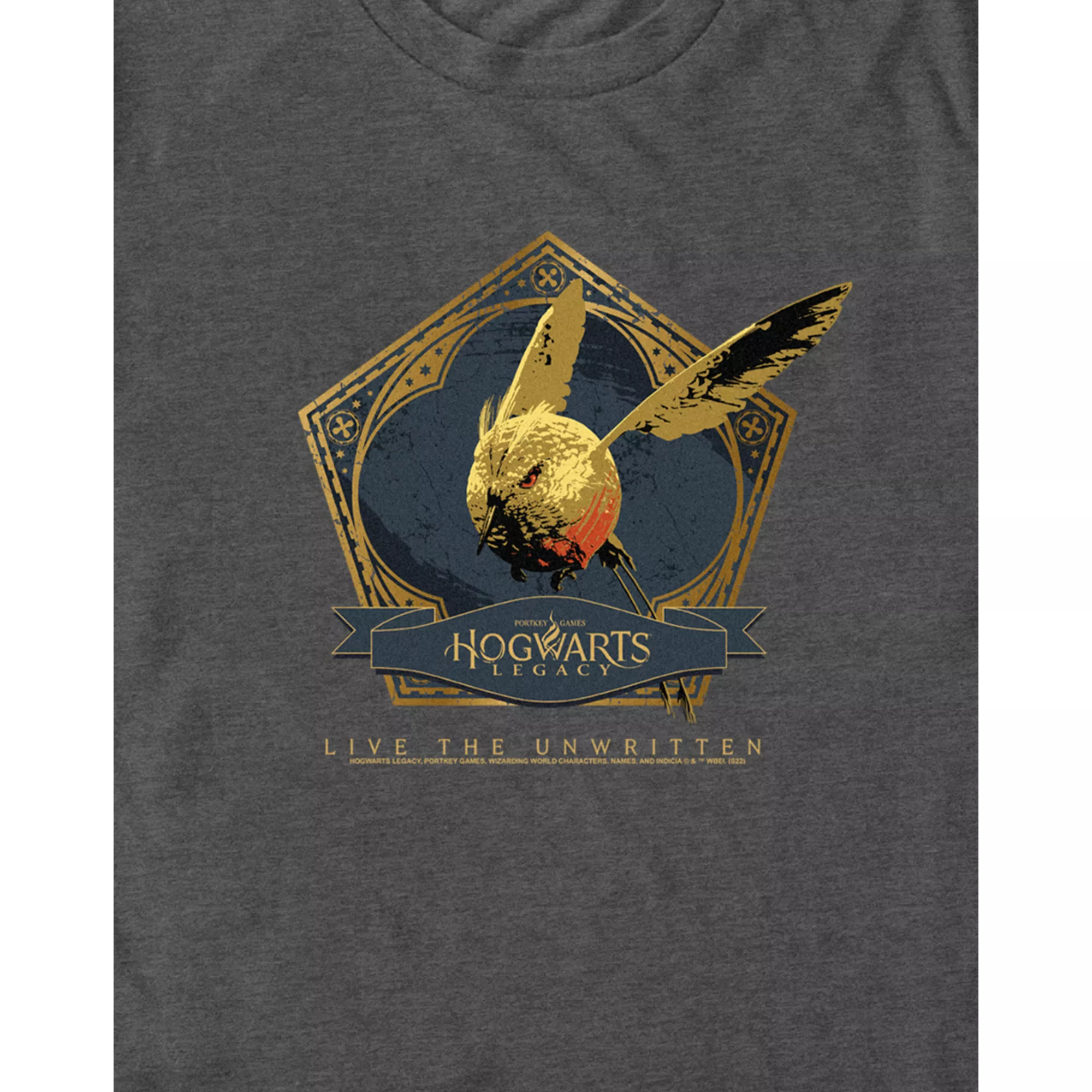 Snidget Badge T Shirt - Hogwarts Legacy at Spencer's