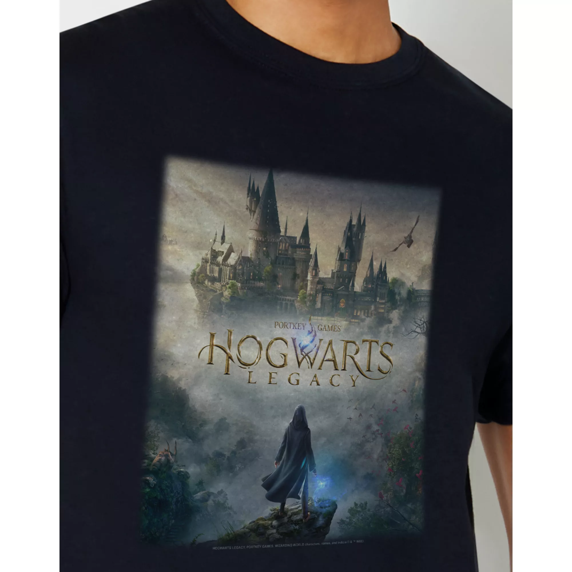 Hogwarts Legacy Poster T Shirt at Spencer's