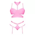 Demi Bra, Harness, Garter and Panties Set at Spencer's