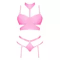 Plus Size Demi Bra, Harness, Garter and Panties Set at Spencer's