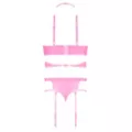 Plus Size Demi Bra, Harness, Garter and Panties Set at Spencer's