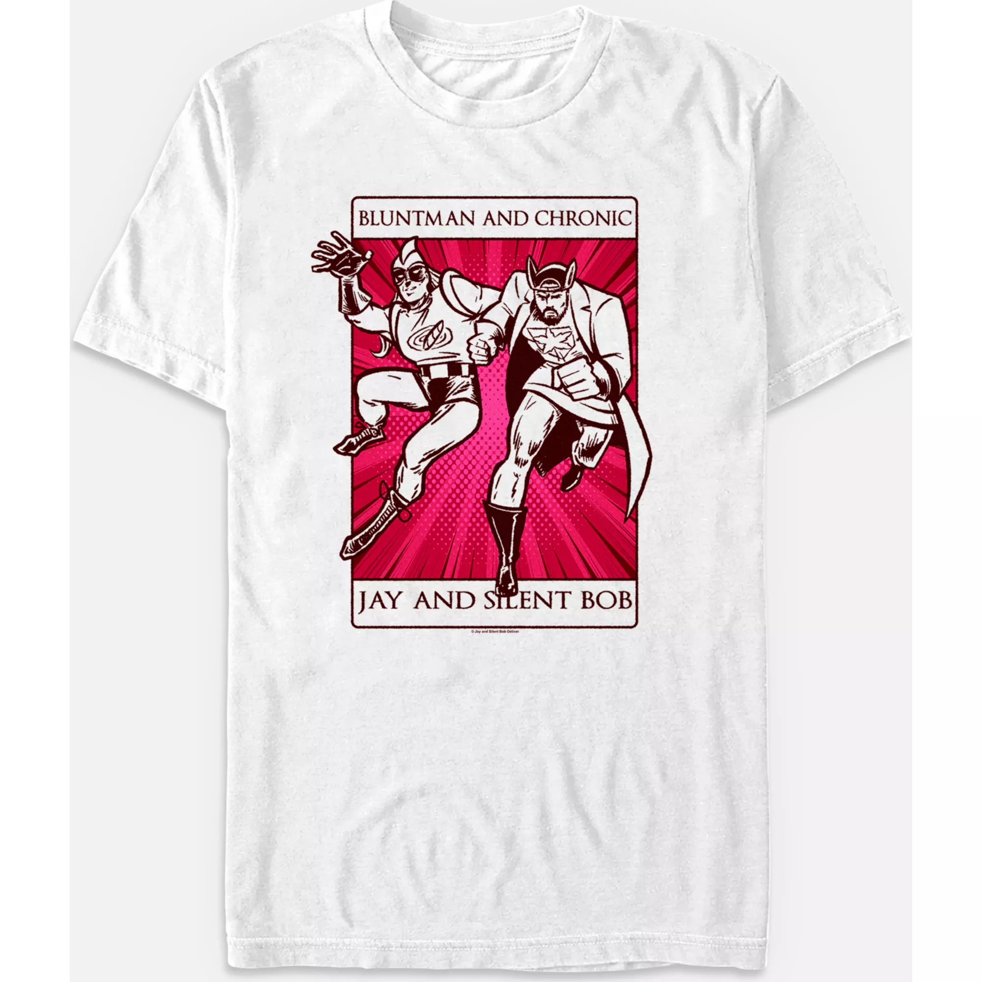 Jay and Silent Bob Bluntman and Chronic T Shirt at Spencer's