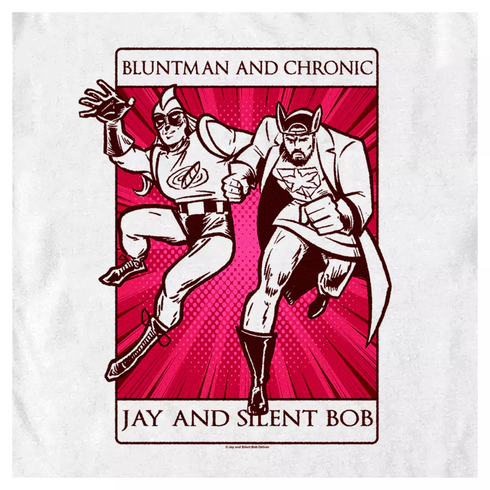 Jay and Silent Bob Bluntman and Chronic T Shirt at Spencer's